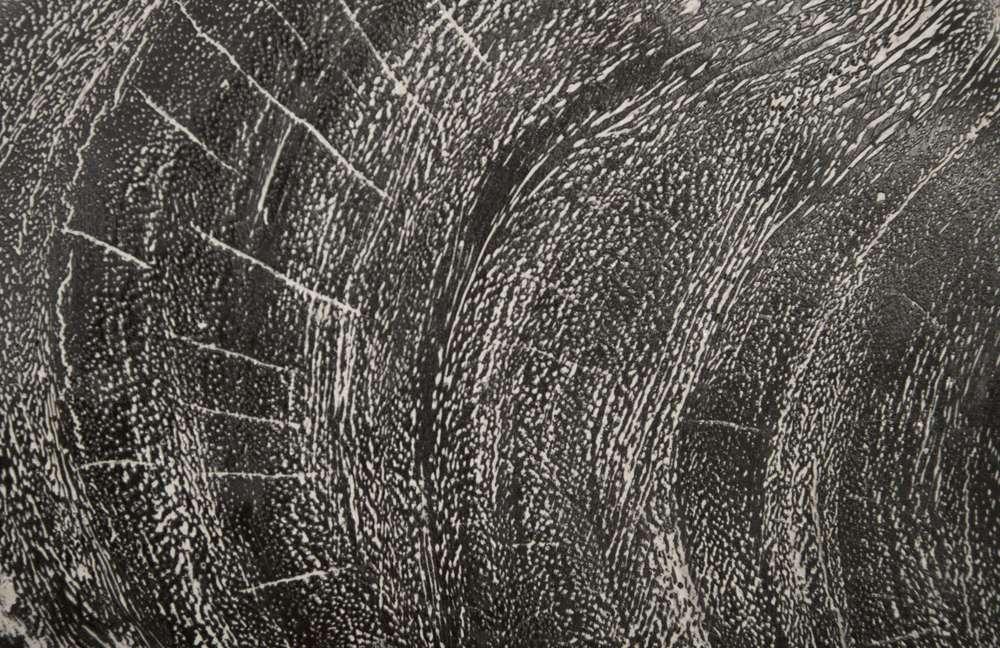 Phillips Collection - River Stone Wall Tile, Gray Stone, MD - TH96031 veiw 3