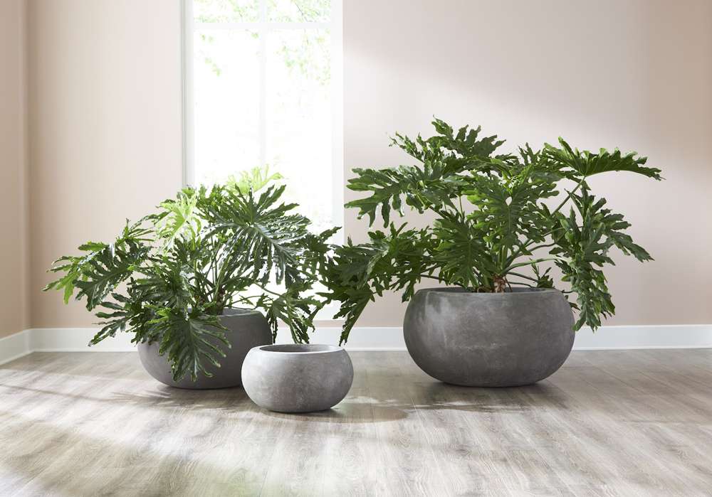Phillips Collection - Rounded Planter, Small, Gray - PH97021 veiw 6