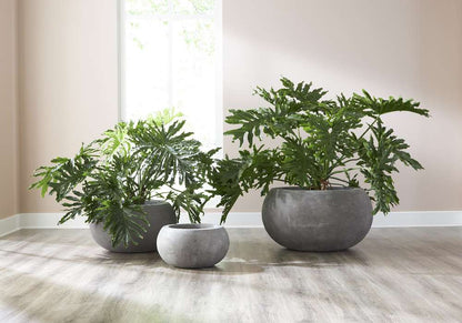 Phillips Collection - Rounded Planter, Small, Gray - PH97021 veiw 6