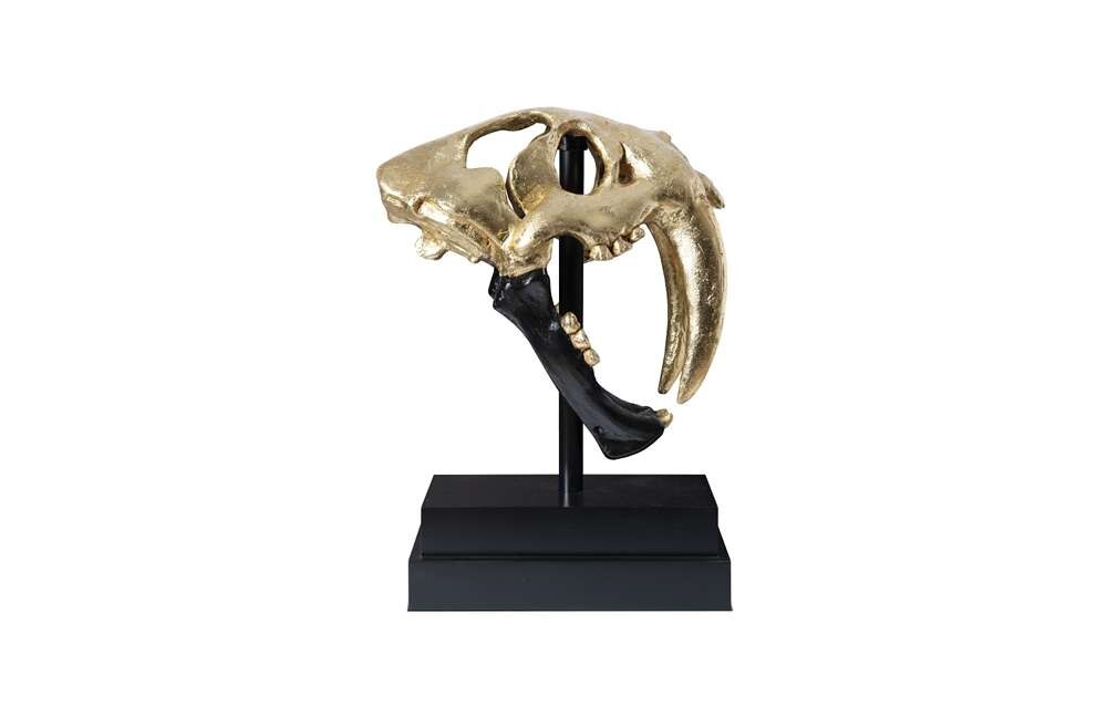 Phillips Collection - Saber Tooth Tiger Skull, Black, Gold Leaf - PH67580 veiw 2