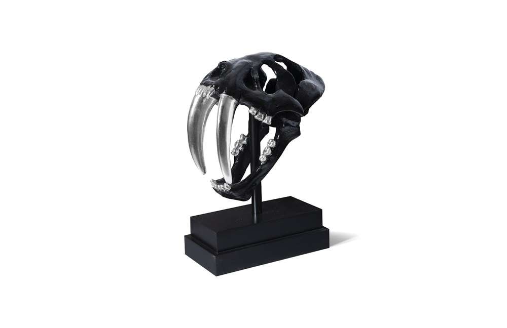 Phillips Collection - Saber Tooth Tiger Skull, Black - PH56705 veiw 1