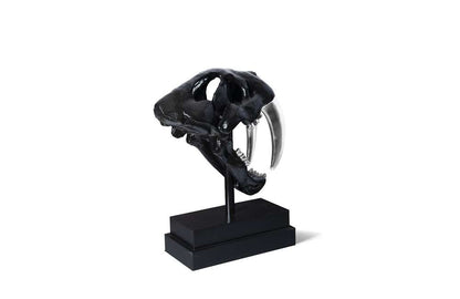 Phillips Collection - Saber Tooth Tiger Skull, Black - PH56705 veiw 3