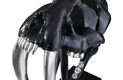 Phillips Collection - Saber Tooth Tiger Skull, Black - PH56705 veiw 4