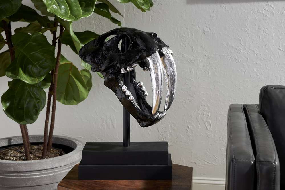 Phillips Collection - Saber Tooth Tiger Skull, Black - PH56705 veiw 6