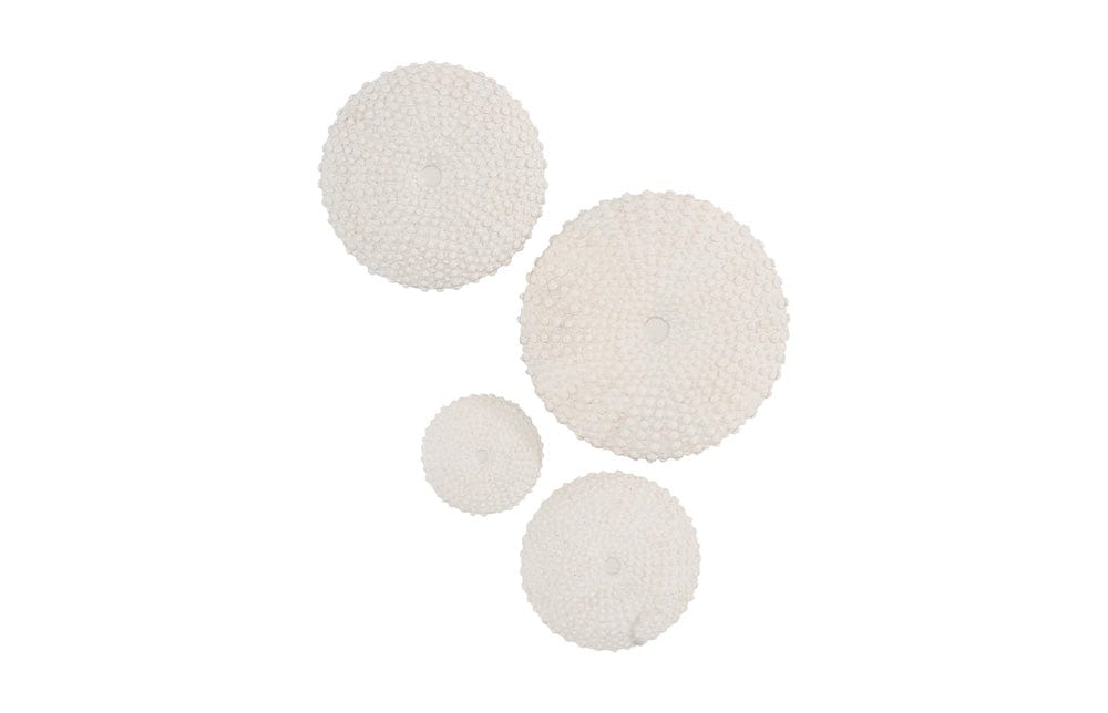 Phillips Collection - Sea Urchin Wall Art, Set Of 4 - PH117333 view 1