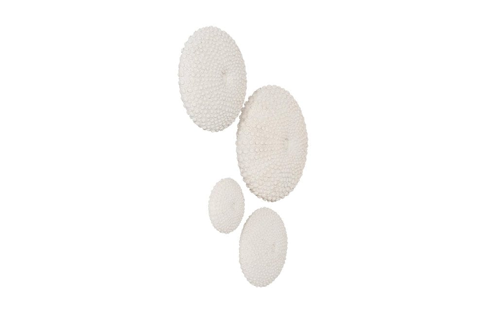 Phillips Collection - Sea Urchin Wall Art, Set Of 4 - PH117333 view 2