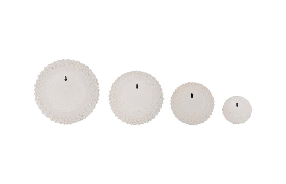 Phillips Collection - Sea Urchin Wall Art, Set Of 4 - PH117333 view 3