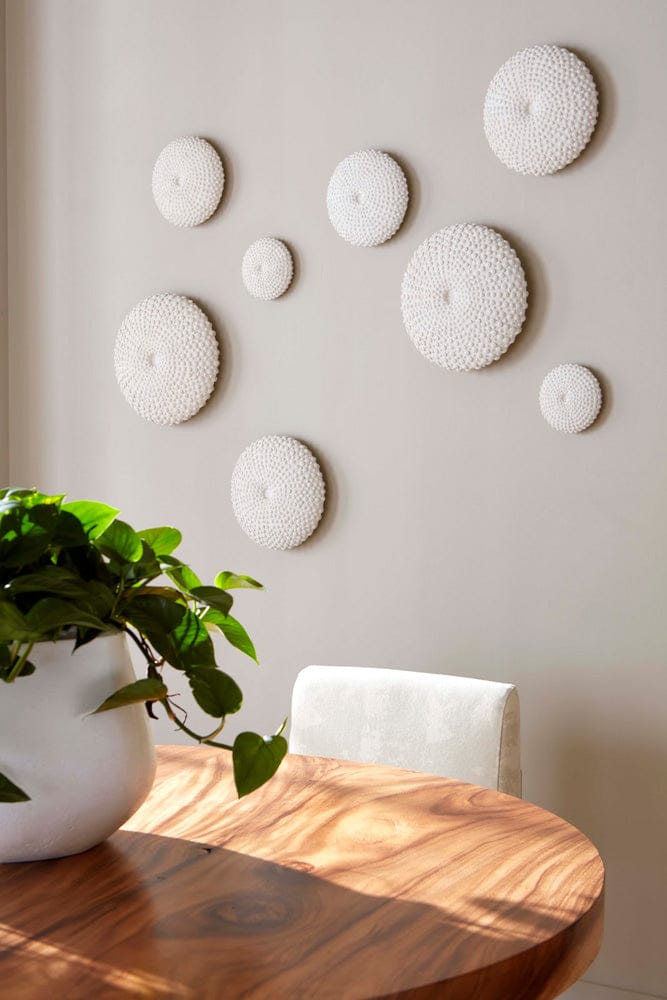 Phillips Collection - Sea Urchin Wall Art, Set Of 4 - PH117333 view 4