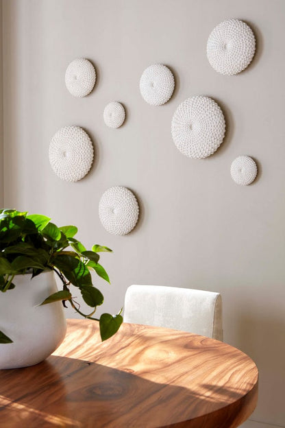 Phillips Collection - Sea Urchin Wall Art, Set Of 4 - PH117333 view 4