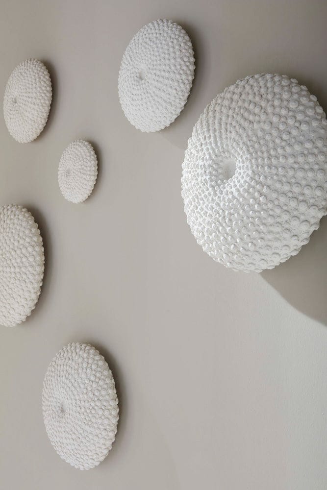 Phillips Collection - Sea Urchin Wall Art, Set Of 4 - PH117333 view 6