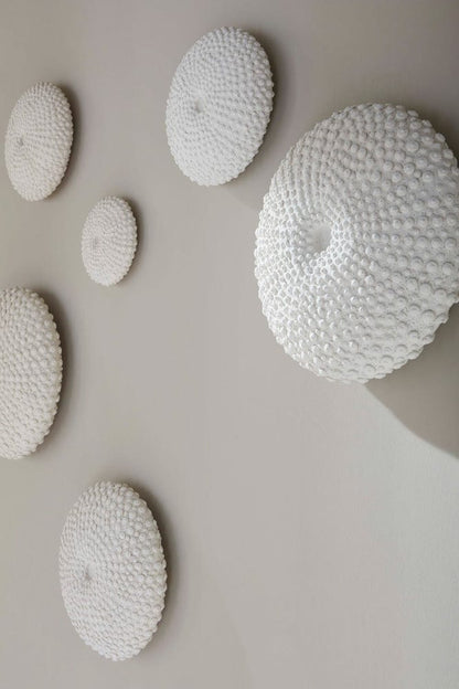 Phillips Collection - Sea Urchin Wall Art, Set Of 4 - PH117333 view 6