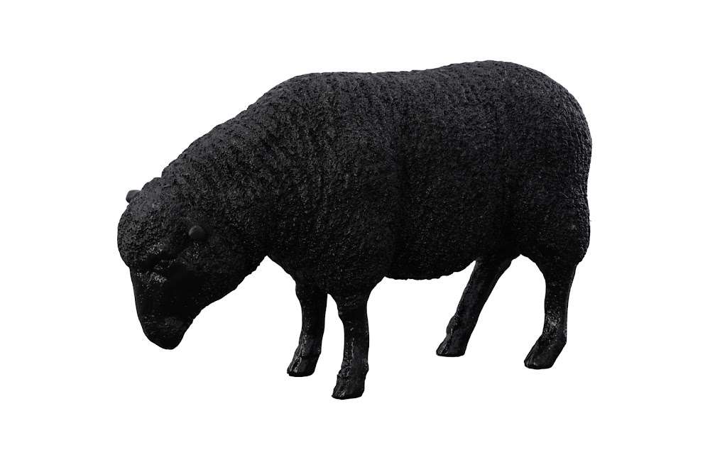 Phillips Collection - Sheep Sculpture, Gel Coat Black - PH109683 veiw 1