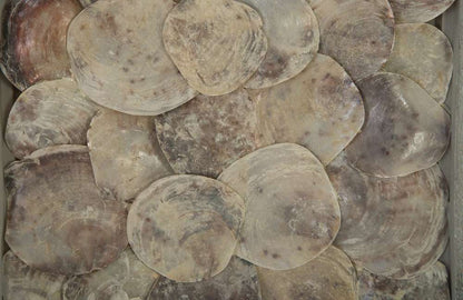 Phillips Collection - Shell Wall Tile, w/Glass - PH83147 veiw 3