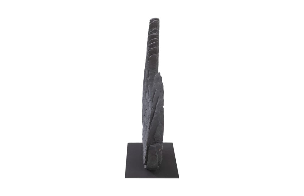 Phillips Collection - Swoop Tabletop Sculpture, Black Wood, Small - TH103477 view 3