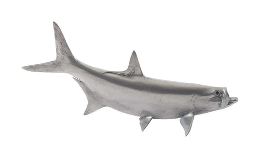 Phillips Collection - Tarpon Fish, Aluminum - PH67449 veiw 1