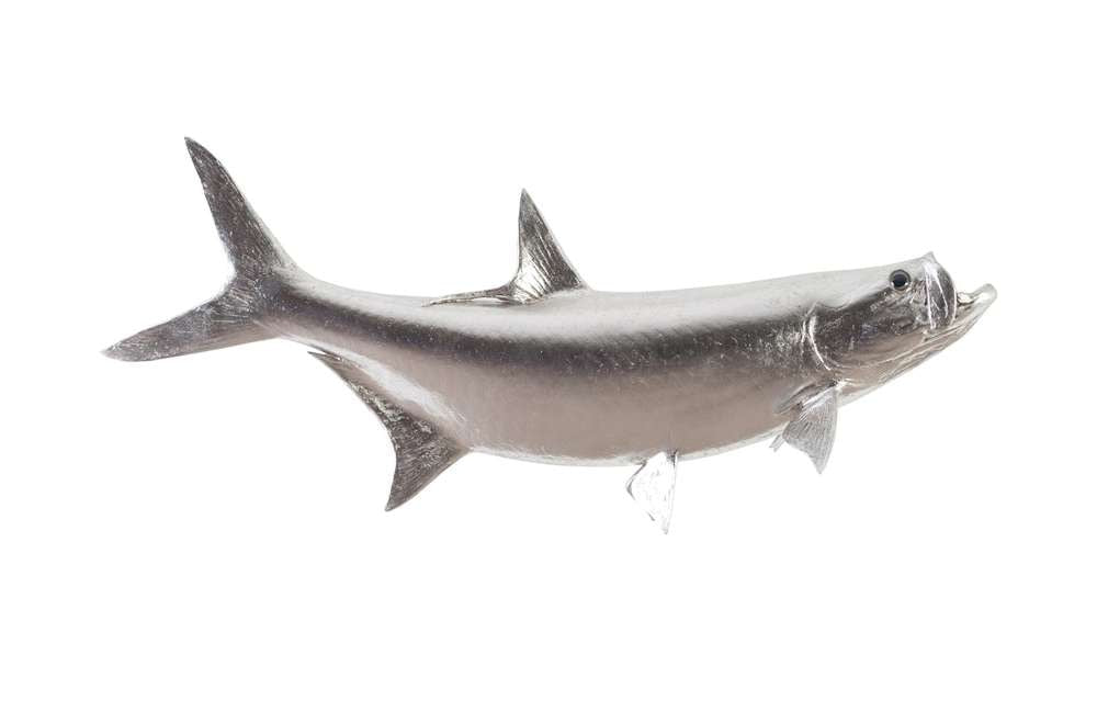 Phillips Collection - Tarpon Fish Wall Sculpture, Resin, Silver Leaf - PH66834 veiw 1