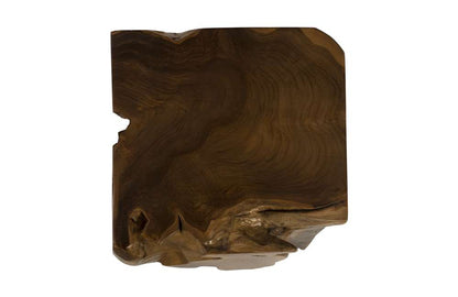 Phillips Collection - Teak Root Side Table - ID86064 veiw 4