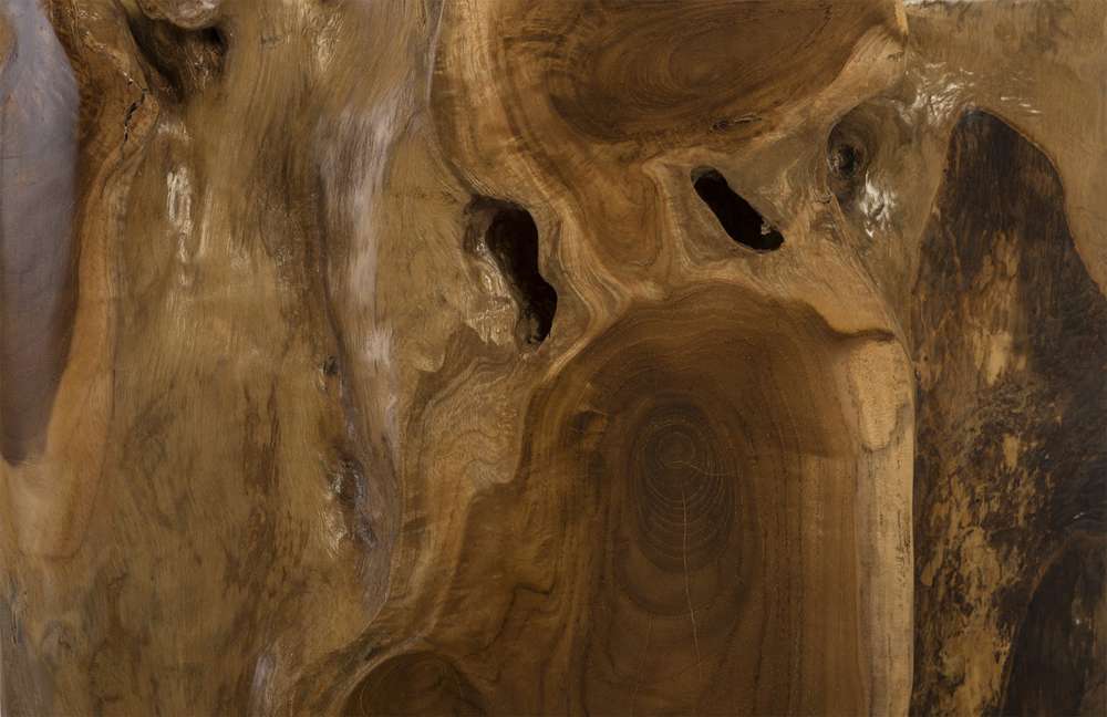 Phillips Collection - Teak Root Side Table - ID86064 veiw 5