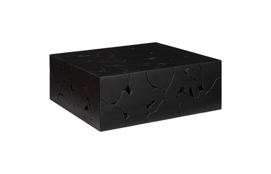 Phillips Collection - Teak Slice Coffee Table, Square, Black - ID112145 veiw 1
