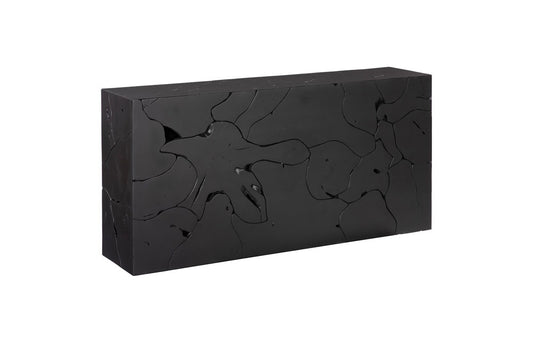 Phillips Collection - Teak Slice Console Table, Black - ID112220 veiw 1