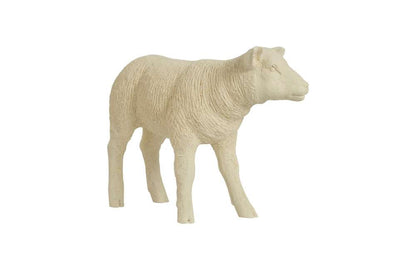 Phillips Collection - Texelaar Sheep, Lamb, Cream - PH60415 veiw 1