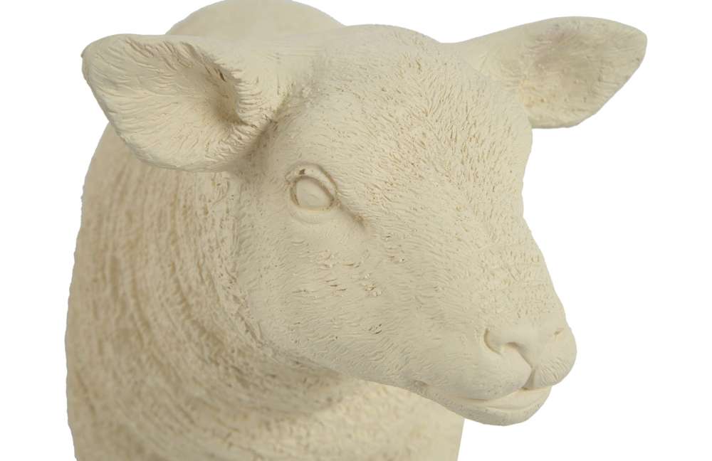 Phillips Collection - Texelaar Sheep, Lamb, Cream - PH60415 veiw 4