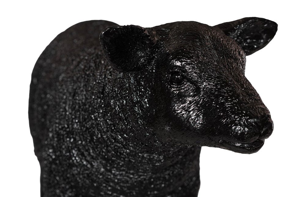 Phillips Collection - Texelaar Sheep, Lamb, Gel Coat Black - PH118802 view 3