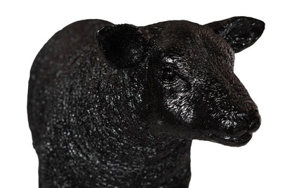 Phillips Collection - Texelaar Sheep, Lamb, Gel Coat Black - PH118802 view 3