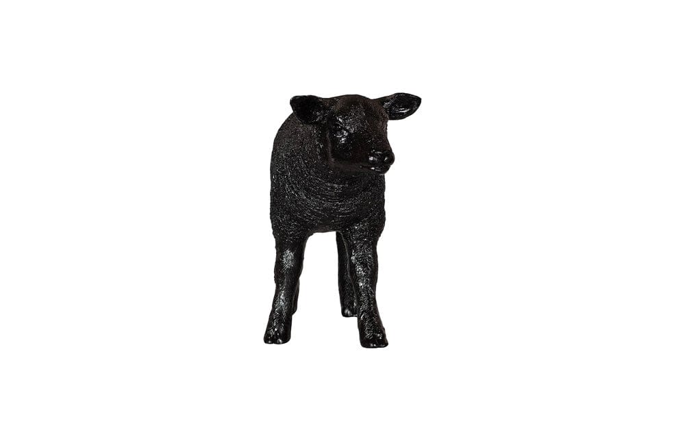 Phillips Collection - Texelaar Sheep, Lamb, Gel Coat Black - PH118802 view 4