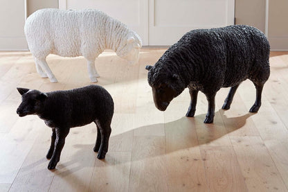 Phillips Collection - Texelaar Sheep, Lamb, Gel Coat Black - PH118802 view 6