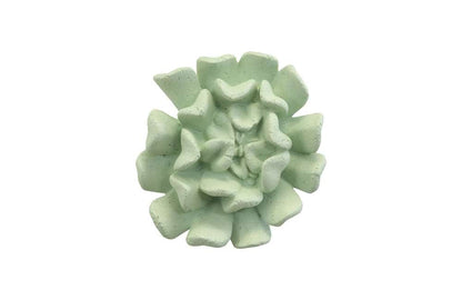 Phillips Collection - Topsy Turvy Succulent Wall Art, Jade - PH104153 veiw 1