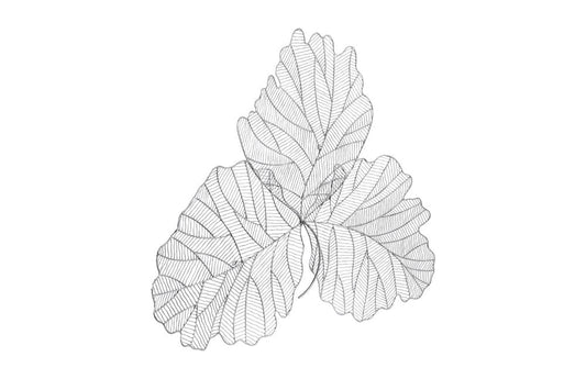 Phillips Collection - Tri Leaf Wall Art, Large, Metal, Silver/Black - TH100857 view 2
