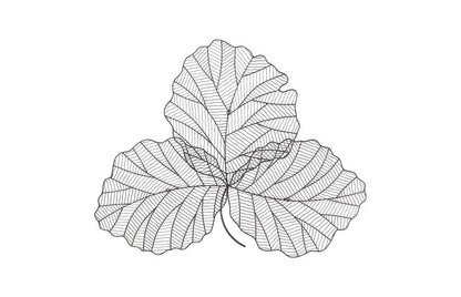 Phillips Collection - Tri Leaf Wall Art, Small, Metal, Copper/Black - TH100858 view 4