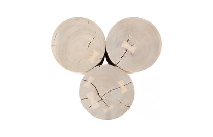 Phillips Collection - Triflora Side Table, Bleached, Large - TH119029 view 2