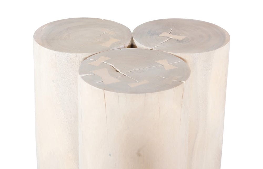 Phillips Collection - Triflora Side Table, Bleached, Large - TH119029 view 3