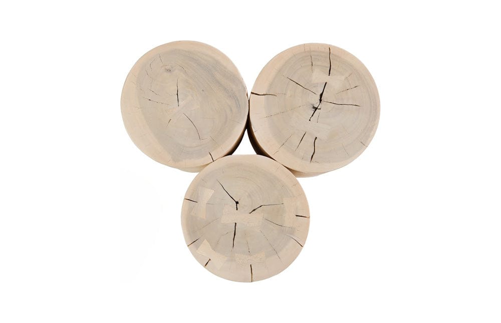 Phillips Collection - Triflora Side Table, Bleached, Small - TH119026 view 2