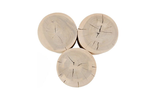 Phillips Collection - Triflora Side Table, Bleached, Small - TH119026 view 2