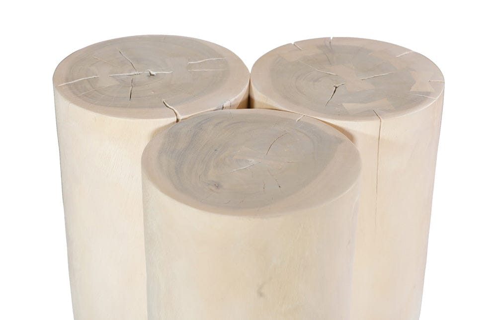 Phillips Collection - Triflora Side Table, Bleached, Small - TH119026 view 3