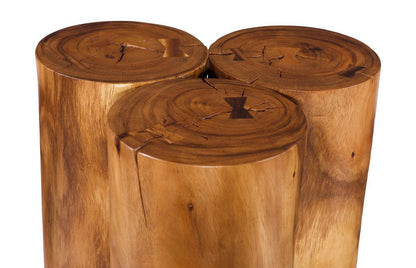 Phillips Collection - Triflora Side Table, Natural, Large - TH119027 view 3