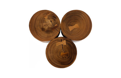 Phillips Collection - Triflora Side Table, Natural, Small - TH119024 view 2