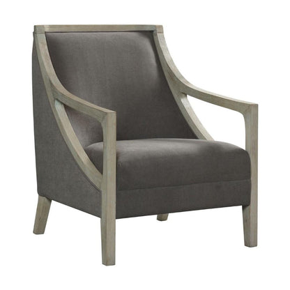 Picket House Furnishings - Dayna Accent Chair with White Wash Frame In Charcoal - UHK526102E veiw 1