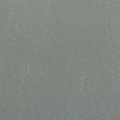 Picket House Furnishings - Pia Faux Leather Dining Side Chair in Grey (Set of 2) - DMI300SC veiw 6