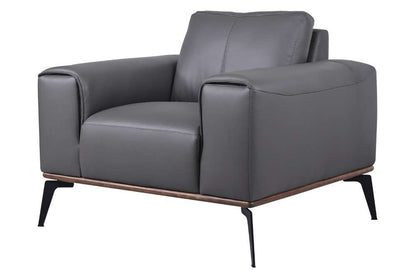 Porter Designs -  Pietro Top Grain Leather Chair, Gray - 02-204C-03-2110 veiw 1