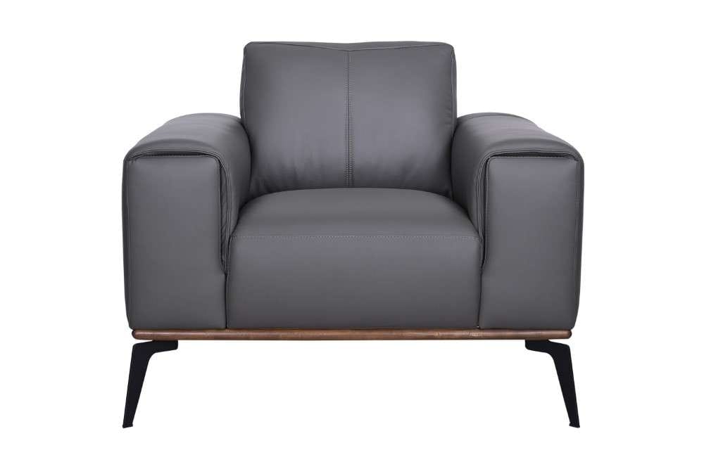 Porter Designs -  Pietro Top Grain Leather Chair, Gray - 02-204C-03-2110 veiw 3
