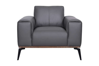 Porter Designs -  Pietro Top Grain Leather Chair, Gray - 02-204C-03-2110 veiw 3