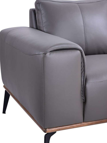 Porter Designs -  Pietro Top Grain Leather Sofa, Gray - 02-204C-01-2110 veiw 4