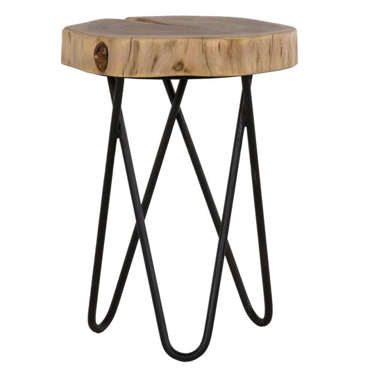 Primo International - Colton 12 in. RoundWood and Metal End Table - 36252 veiw 1