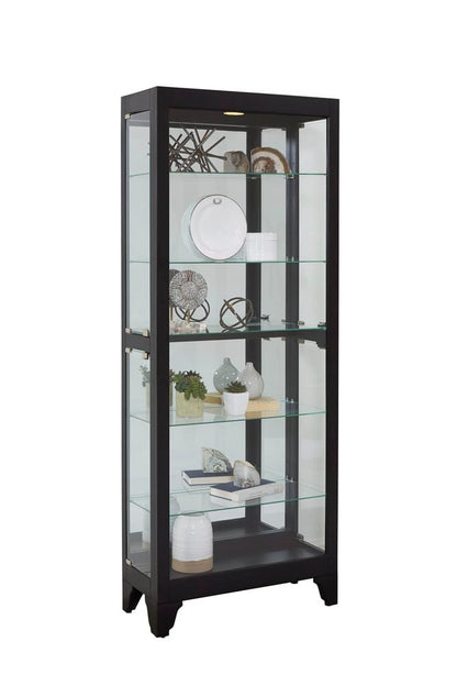 Pulaski Onyx Mirrored Curio 21218 View 1
