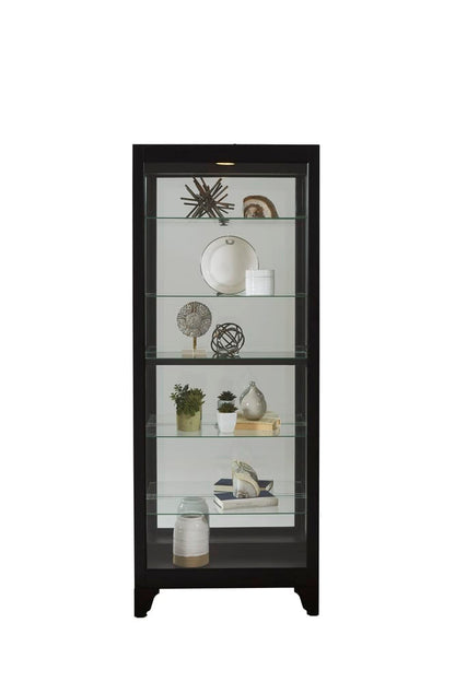 Pulaski Onyx Mirrored Curio 21218 View 4