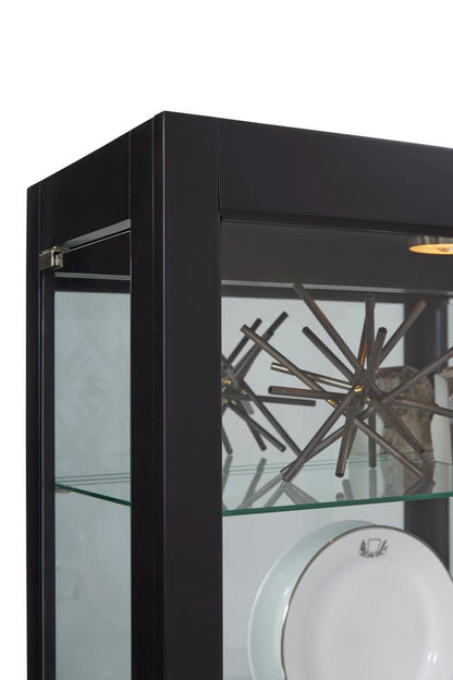 Pulaski Onyx Mirrored Curio 21218 View 7
